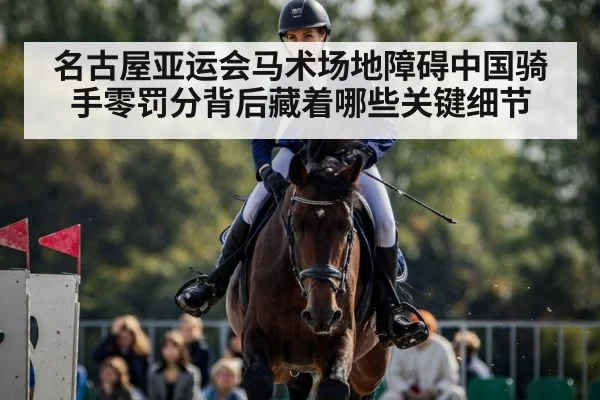 名古屋亚运会马术场地障碍中国骑手零罚分背后藏着哪些关键细节